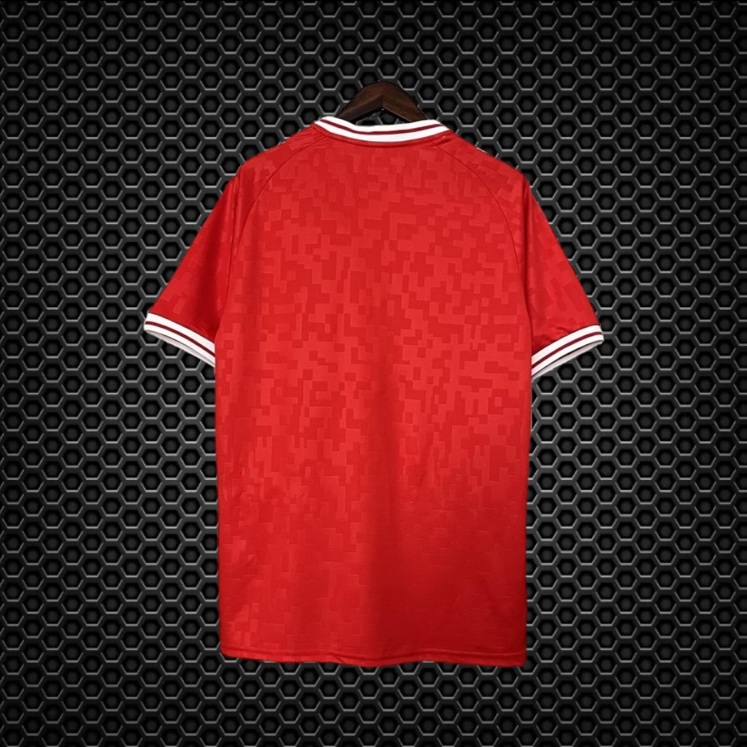 Denmark - Shirt 24/25