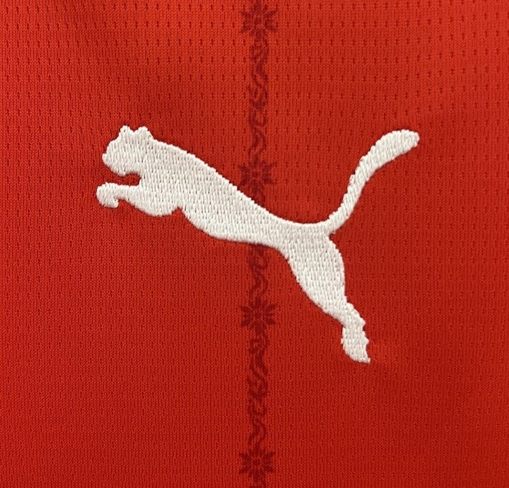 Suiça - Camisola 24/25