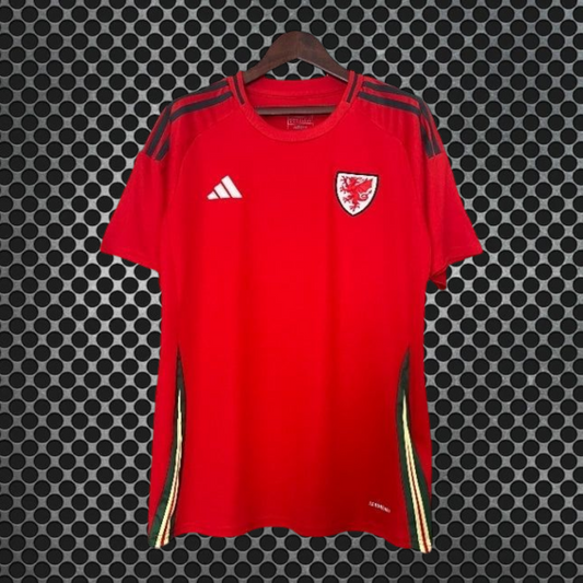 País de Gales - Camisola 24/25