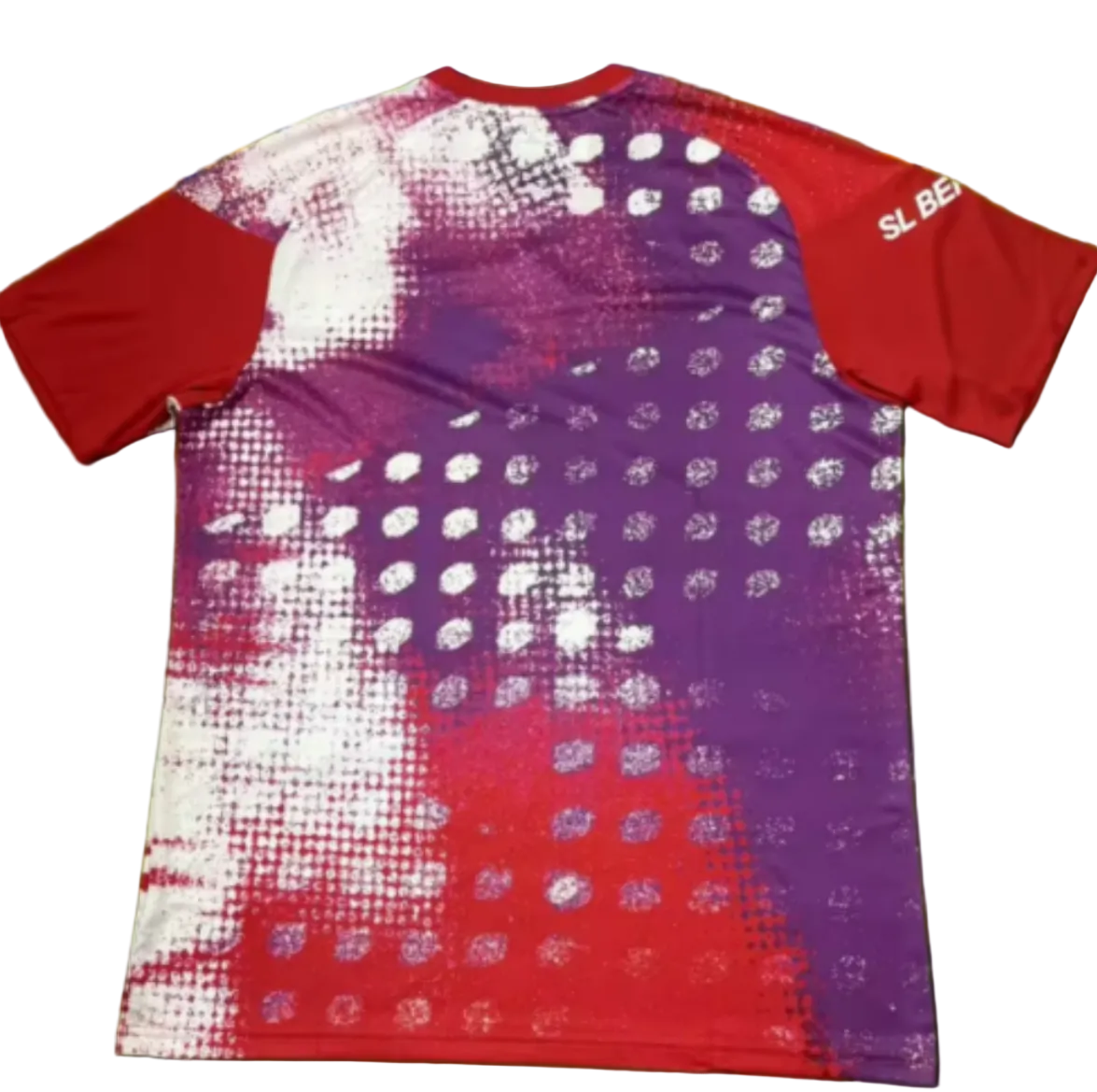 BENFICA PRE MATCH SHIRT 26/27