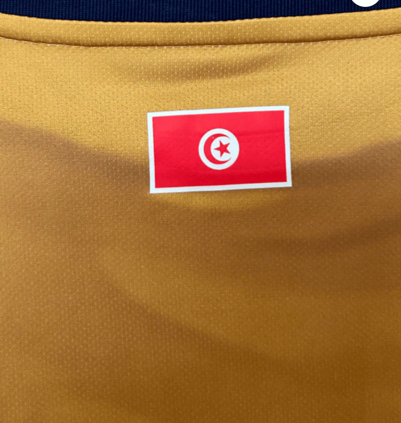 Tunisia Second Away Shirt 2026