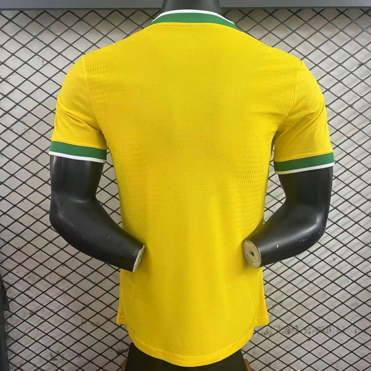 26/27 Flamengo x Brazil Special Edition World Cup Shirt